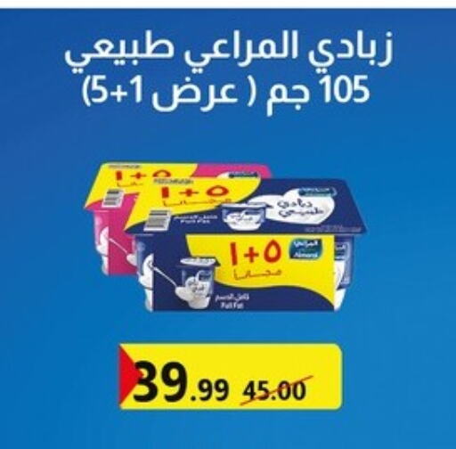 Yogurt & Labneh in Al Habib Market, Egypt Offers - Egypt ALMARAI Yoghurt available at Al Habib Market in Egypt - Cairo