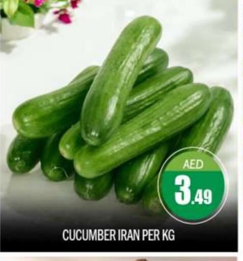 Cucumber from Iran available at BIGmart in UAE - Abu Dhabi