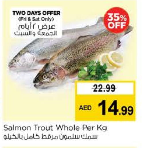 available at Nesto Hypermarket in UAE - Fujairah