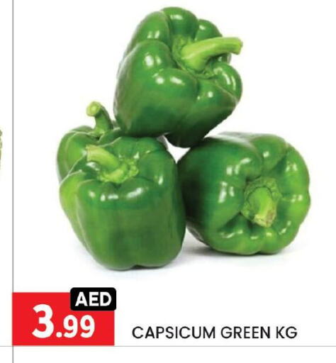 Chilli / Capsicum available at LIYAKKAS HYPERMARKET LLC in UAE - Abu Dhabi