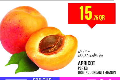 Apricot from Lebanon available at مونوبريكس in قطر - الشمال