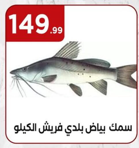available at MartVille in Egypt - Cairo