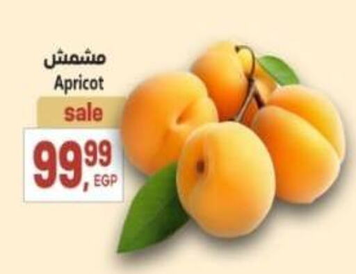 Apricot available at El.Husseini supermarket  in Egypt - Cairo