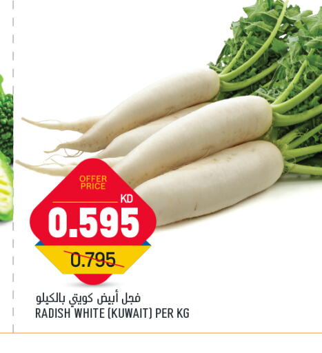 Fresh Vegetables in Oncost, Kuwait Offers - Kuwait Radish from Kuwait available at Oncost in Kuwait - Ahmadi Governorate