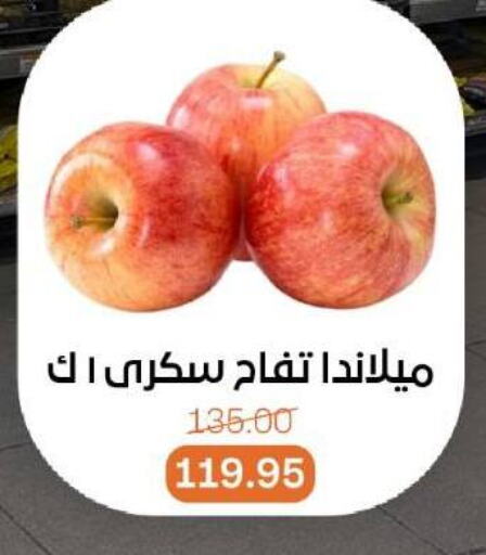 Fresh Fruits in Beit El Gomla, Egypt Offers - Egypt Apples available at Beit El Gomla in Egypt - Cairo