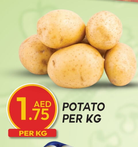 Potato available at Dream Land in UAE - Dubai