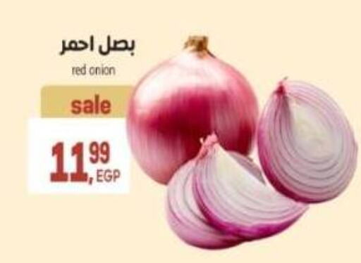 Onion available at El.Husseini supermarket  in Egypt - Cairo