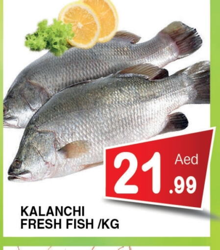 Fresh Fish in Ain Al Madina Hypermarket, UAE Offers - United Arab Emirates available at Ain Al Madina Hypermarket in UAE - Sharjah / Ajman