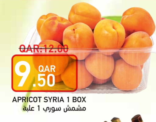 Apricot from Syria available at Rambo Mart in Qatar - Al Khor