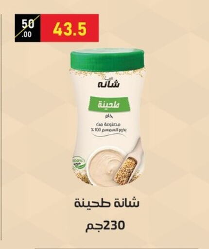 Sauces & Spreads in Al Habib Market, Egypt Offers - Egypt Tahina & Halawa available at Al Habib Market in Egypt - Cairo