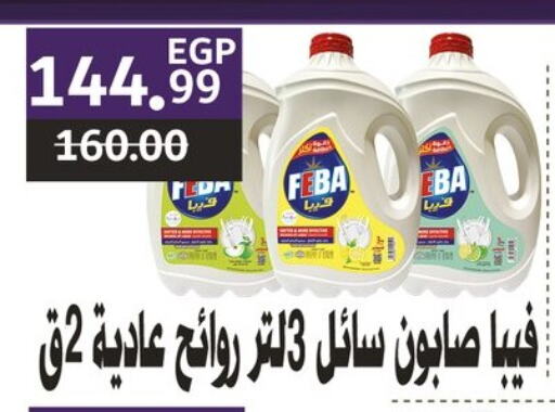 Cleaning in Al Habib Market, Egypt Offers - Egypt available at Al Habib Market in Egypt - Cairo