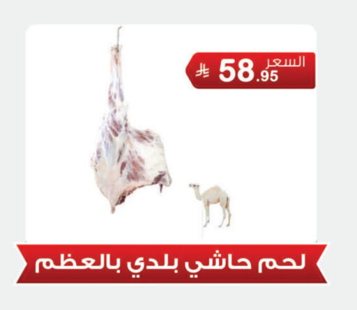 Meat - Fresh & Chilled in Al Rasheed Markets, Saudi Arabia Offers - Saudi Arabia Camel meat available at Al Rasheed Markets in KSA, Saudi Arabia, Saudi - Riyadh