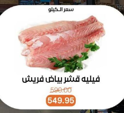 Fresh Fish in Beit El Gomla, Egypt Offers - Egypt available at Beit El Gomla in Egypt - Cairo