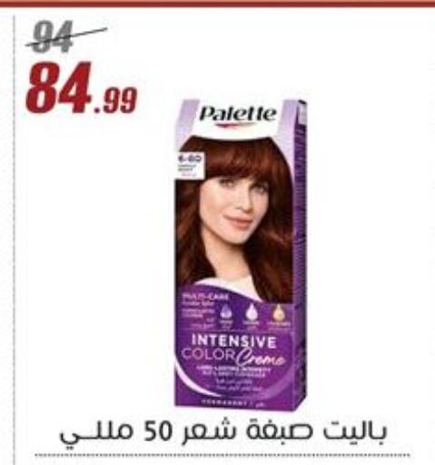 باليت صبغة شعر available at المرشدي in Egypt - القاهرة