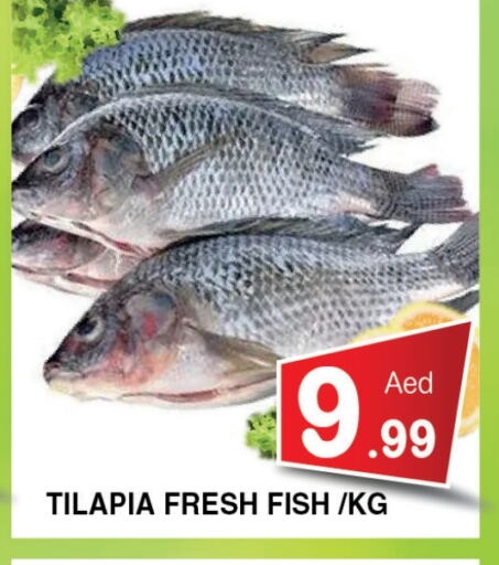 Fresh Fish in Ain Al Madina Hypermarket, UAE Offers - United Arab Emirates available at Ain Al Madina Hypermarket in UAE - Sharjah / Ajman