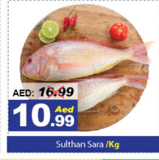 الأسماك الطازجة in ديزرت فريش ماركت, UAE Offers - الإمارات العربية المتحدة available at ديزرت فريش ماركت in الإمارات العربية المتحدة , الامارات - أبو ظبي