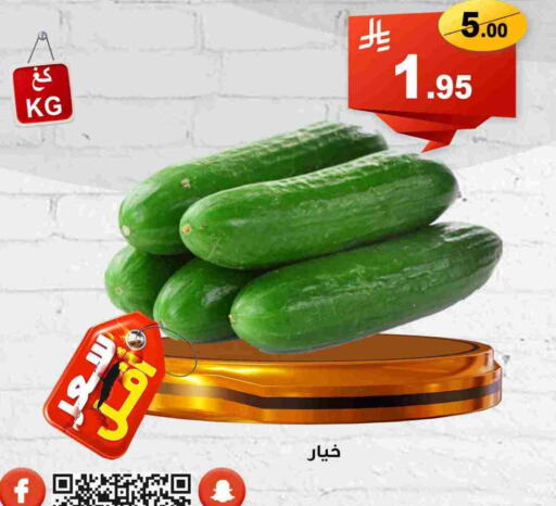 خيار available at العائلة الإقتصادية in مملكة العربية السعودية, السعودية, سعودية - ينبع