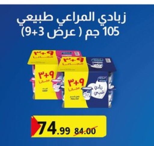 Yogurt & Labneh in Al Habib Market, Egypt Offers - Egypt ALMARAI Yoghurt available at Al Habib Market in Egypt - Cairo