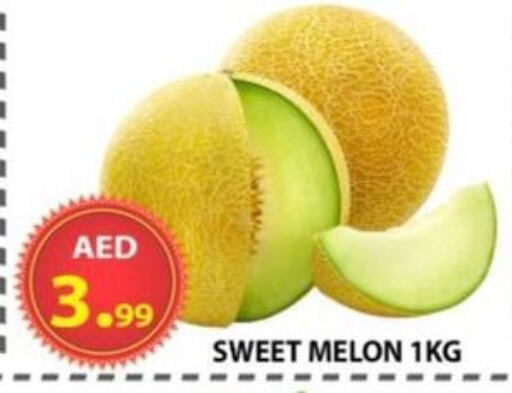 فاكهة طازجة in مركز الوحدة للتخفيضات, UAE Offers - الإمارات العربية المتحدة شمام available at مركز الوحدة للتخفيضات in الإمارات العربية المتحدة , الامارات - الشارقة / عجمان