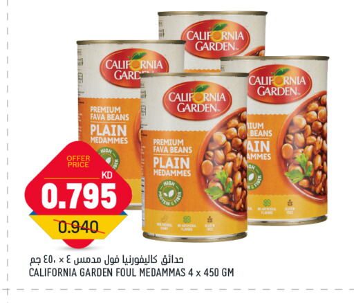 CALIFORNIA GARDEN Fava Beans available at Oncost in Kuwait - Jahra Governorate