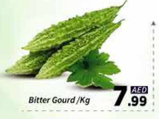 Fresh Vegetables in AIKO Mall and AIKO Hypermarket, UAE Offers - United Arab Emirates Gourd available at AIKO Mall and AIKO Hypermarket in UAE - Dubai