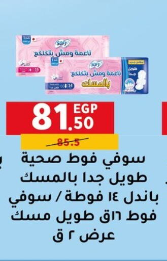 النظافة الشخصية النسائية in الحبيب ماركت, Egypt Offers - Egypt صوفي available at الحبيب ماركت in Egypt - القاهرة