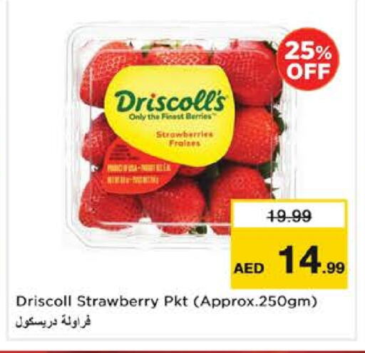 Strawberry available at نستو هايبرماركت in الإمارات العربية المتحدة , الامارات - ٱلْفُجَيْرَة‎
