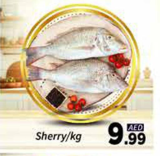 Fresh Fish in AIKO Mall and AIKO Hypermarket, UAE Offers - United Arab Emirates available at AIKO Mall and AIKO Hypermarket in UAE - Dubai