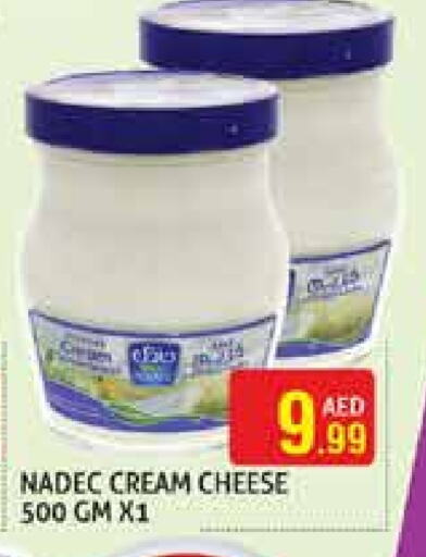NADEC Cream Cheese available at Palm Hypermarket Muhaisina LLC in UAE - Dubai
