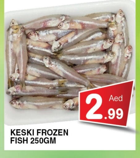 Fresh Fish in Ain Al Madina Hypermarket, UAE Offers - United Arab Emirates available at Ain Al Madina Hypermarket in UAE - Sharjah / Ajman
