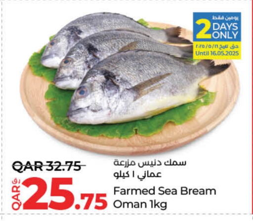 Fresh Fish in LuLu Hypermarket, Qatar Offers - Qatar available at LuLu Hypermarket in Qatar - Al-Shahaniya