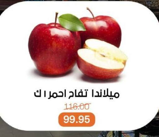 Fresh Fruits in Beit El Gomla, Egypt Offers - Egypt Apples available at Beit El Gomla in Egypt - Cairo