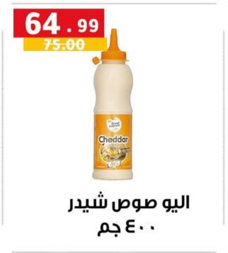 الصلصات والسبريد in الحبيب ماركت, Egypt Offers - Egypt available at الحبيب ماركت in Egypt - القاهرة
