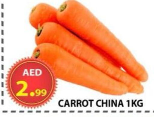 الخضروات الطازجة in مركز الوحدة للتخفيضات, UAE Offers - الإمارات العربية المتحدة جزر from China available at مركز الوحدة للتخفيضات in الإمارات العربية المتحدة , الامارات - الشارقة / عجمان
