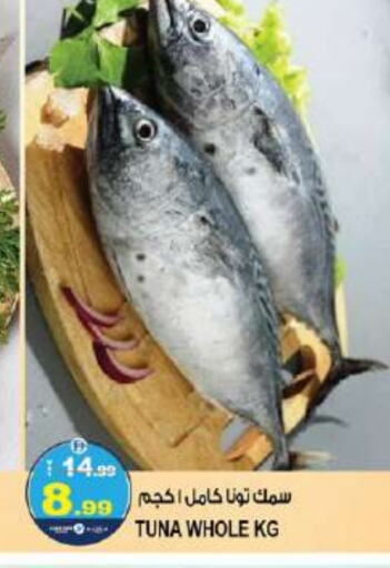 Tuna available at Hashim Hypermarket in UAE - Sharjah / Ajman