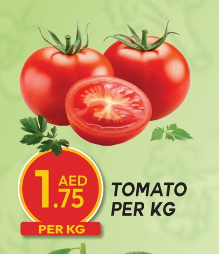 Tomato available at Dream Land in UAE - Dubai