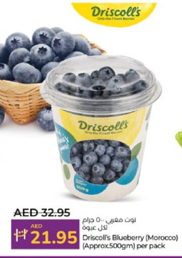 Berries from Morocco available at Lulu Hypermarket in UAE - Abu Dhabi