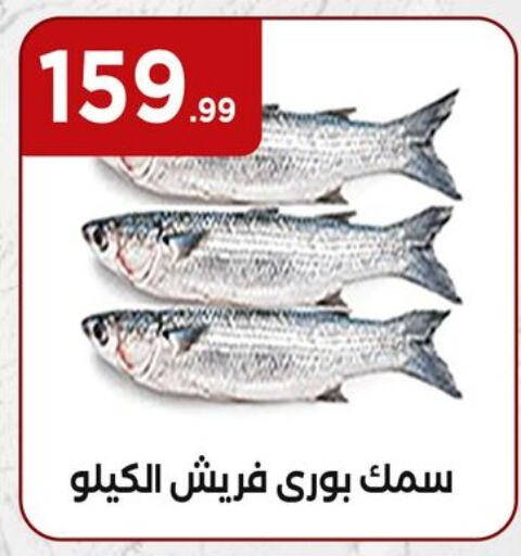 available at MartVille in Egypt - Cairo