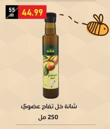 Sauces & Spreads in Al Habib Market, Egypt Offers - Egypt Vinegar available at Al Habib Market in Egypt - Cairo