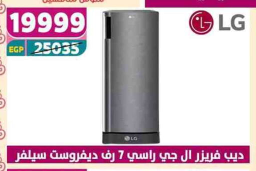 LG Freezer available at Shaheen Center in Egypt - Cairo