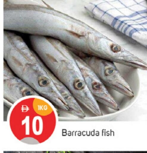 Fresh Fish in TALAL MARKET, UAE Offers - United Arab Emirates available at TALAL MARKET in UAE - Sharjah / Ajman