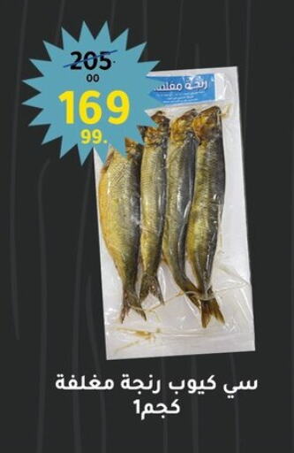 available at الحبيب ماركت in Egypt - القاهرة