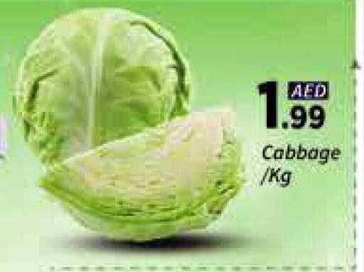 Fresh Vegetables in AIKO Mall and AIKO Hypermarket, UAE Offers - United Arab Emirates Cabbage available at AIKO Mall and AIKO Hypermarket in UAE - Dubai