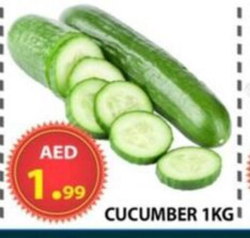 Fresh Vegetables in AL WAHDA DISCOUNTS CENTRE, UAE Offers - United Arab Emirates Cucumber available at AL WAHDA DISCOUNTS CENTRE in UAE - Sharjah / Ajman