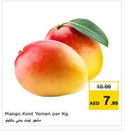 Mango available at لاست تشانس in الإمارات العربية المتحدة , الامارات - ٱلْفُجَيْرَة‎