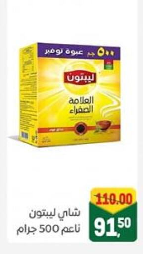 ليبتون available at جلهوم ماركت in Egypt - القاهرة