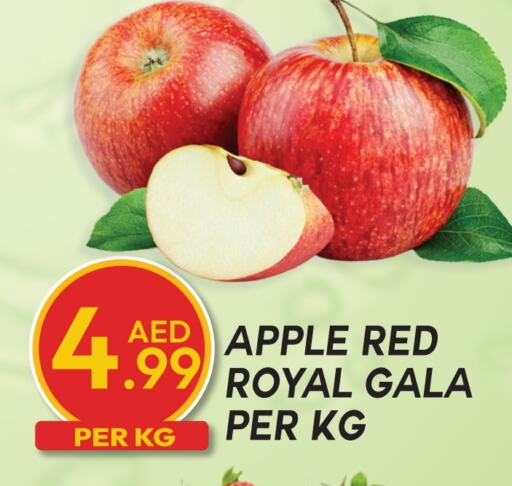 Apples available at Dream Land in UAE - Dubai