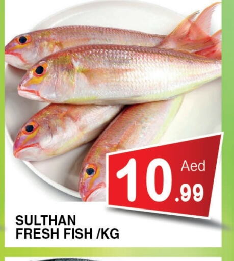 Fresh Fish in Ain Al Madina Hypermarket, UAE Offers - United Arab Emirates available at Ain Al Madina Hypermarket in UAE - Sharjah / Ajman