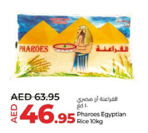 Calrose Rice available at Lulu Hypermarket in UAE - Abu Dhabi