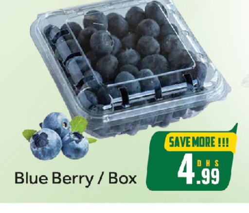 available at FOODZONE HYPERMARKET in UAE - Sharjah / Ajman